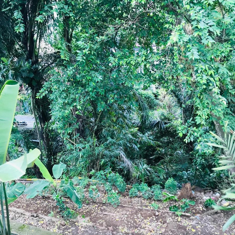 Griya Telaga Jumpung Apartment Ubud  Exterior photo